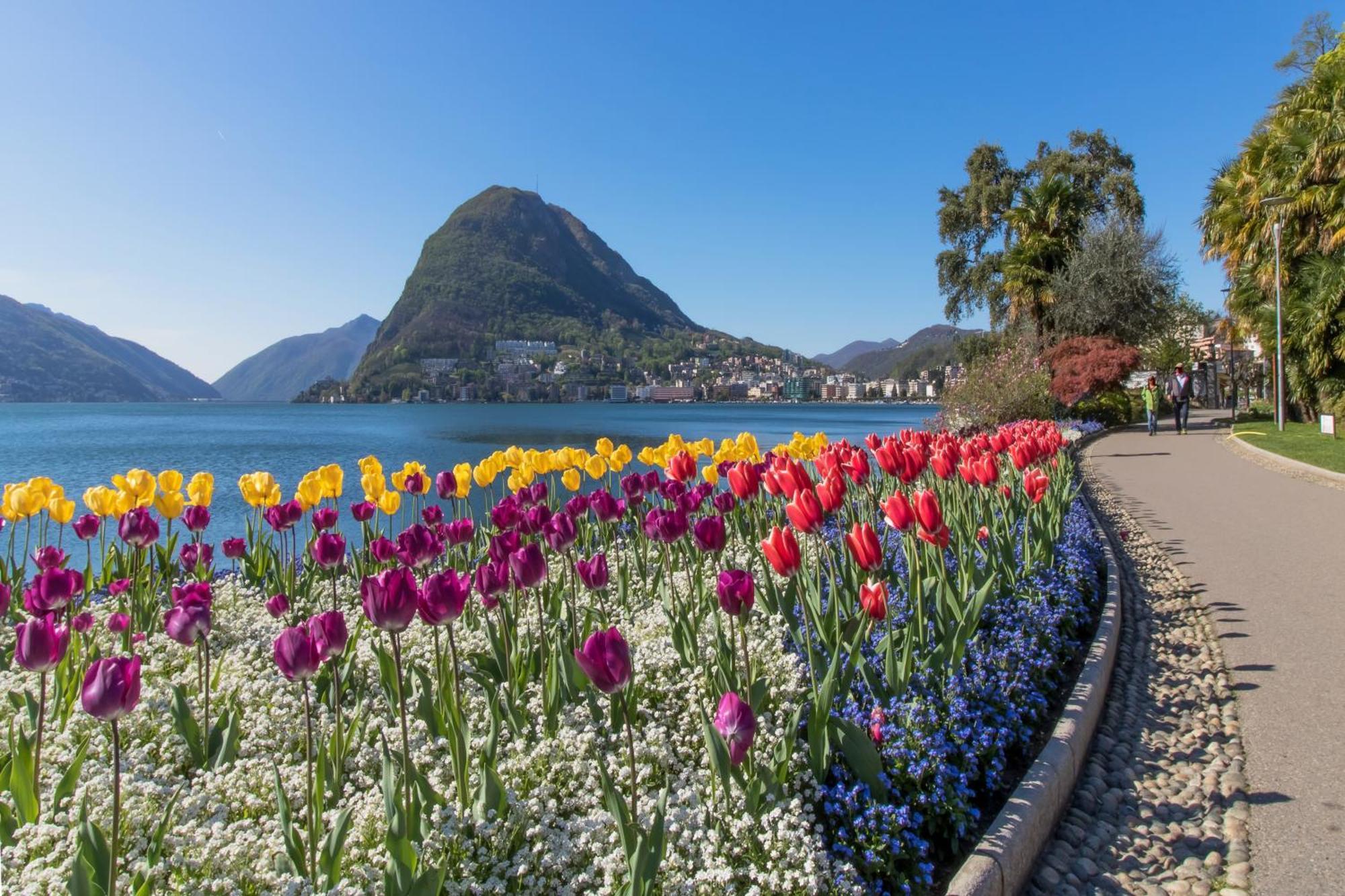 Casa Basilico - Happy Rentals Lugano Ngoại thất bức ảnh